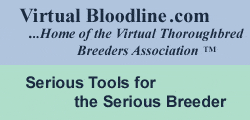 VirtualBloodline.com